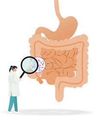 A doctor is looking at a picture of a person's stomach. The stomach shows microorganisms.microbiome Concept
