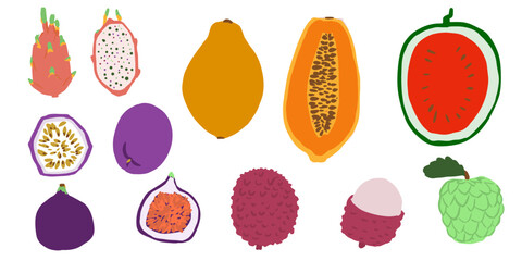 Sweet fruits. Vector cartoon flat set. Passion fruit, lychee, papaya, watermelon, fig, dragon fruit, custard apple set. - obrazy, fototapety, plakaty