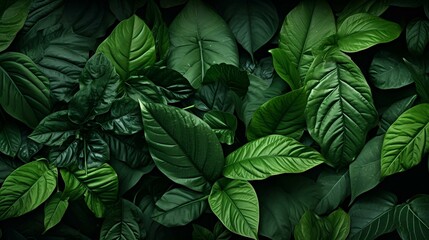 A cluster of green leaves on a dark background. Vector art illustration