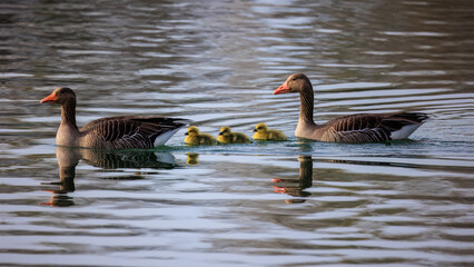 Familienausflug