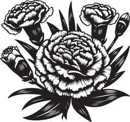 Carnation Illustration