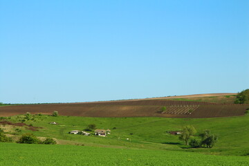 Obraz premium A field with a house and trees