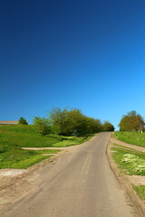 A road with grass and trees on the side