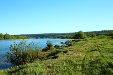 A grassy field with trees and a body of water in the distance