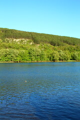 A body of water with trees in the background