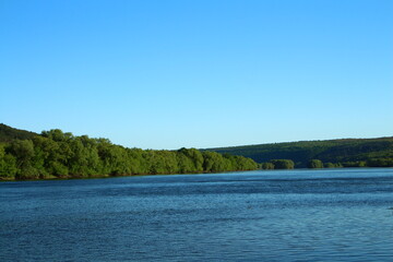A body of water with trees in the background