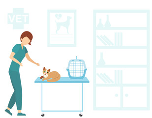 Veterinary. A veterinarian calms a frightened cat. Medical checkup for domestic animal. Diagnostic for pets. Veterinary clinic illustration.