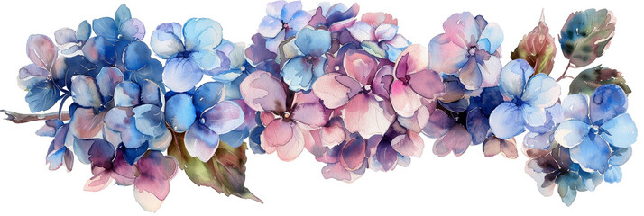 Vibrant Watercolor Hydrangeas for Wedding Design - Floral Artwork, Transparent Background