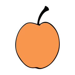 apricot sign, apricot vector illustration