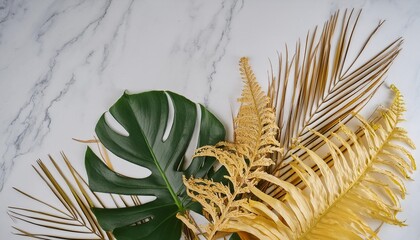 monstera deliciosa and yellow palm tropical leaves isolated on white background