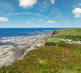 Summer blossoming Atlantic coastline landscape with pink flowers (Spain).