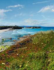 Summer blossoming Atlantic coast and sandy beach Los Castros (Galicia, Spain). Two shots stitch image.