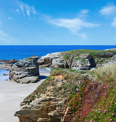 Summer blossoming Atlantic beach Illas (Galicia, Spain)  with white sand and pink flowers in front.