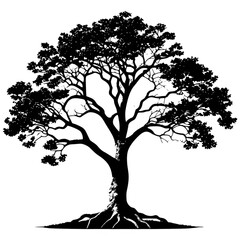 Fototapeta premium Silhouette of a tree and its roots, isolated on transparent background. PNG.