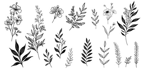 hand drawn floral elements. set botanical illustration. minimalist plant symbols. - obrazy, fototapety, plakaty