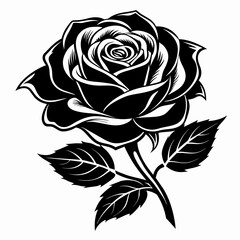 Black Rose flower silhouette vector illustration isolated on a white background.