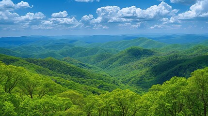Fototapeta premium Preservation-worthy natural landscapes. vast forests, majestic mountains, and tranquil oceans