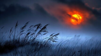   A field with tall grass in the foreground and an orange sun in the sky in the background - Powered by Adobe