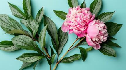   A pink flower on a green branch against a blue backdrop with surrounding green leaves