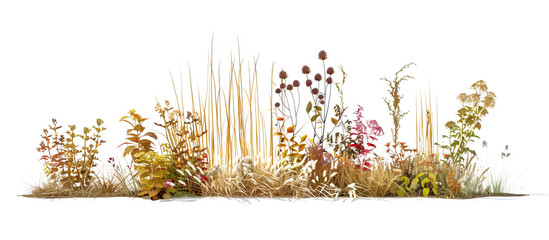 Botanical gradient display from aquatic plants to dry-loving grasses and wildflowers, illustrating...