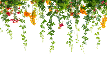 An arrangement of hanging flowers and creepers on a sunny day, with a clear blue sky backdrop, isolated on transparent background