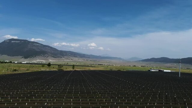 Rural area vineyard between mountains and highway Coahuila Mexico panoramic film of outdoor field for growing grapes Dolly camera movement drone