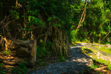 Huai Kaeo waterfall at Huai Kaeo waterfall National Park in tourist attraction with green forest nature in Chiang Mai,Thailand.