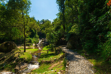 Fototapeta premium Huai Kaeo waterfall at Huai Kaeo waterfall National Park in tourist attraction with green forest nature in Chiang Mai,Thailand.