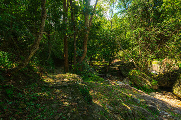 Huai Kaeo waterfall at Huai Kaeo waterfall National Park in tourist attraction with green forest nature in Chiang Mai,Thailand.