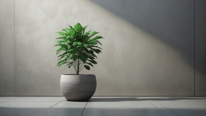 plant in a vase on the white wall