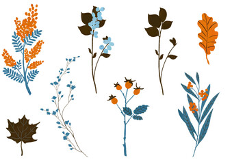 A set of transparent elements on the theme of nature, garden and forest to create a design. Branches, leaves, berries.