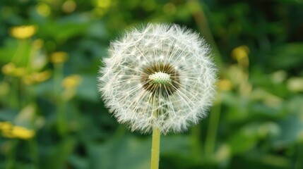 Dandelion seeds. Generative AI