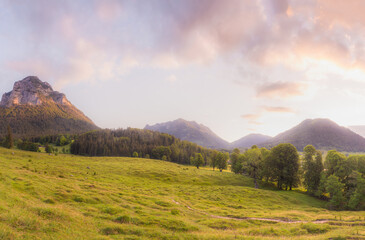 Meadow with road and bench during sunset in Berchtesgaden National Park
