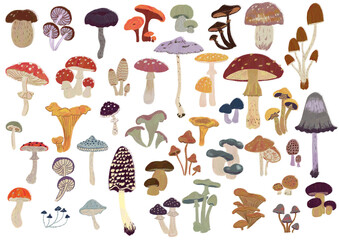 Set of natural  transparent png illustrations with multi-colored mushrooms to create a design for a pattern, postcard, invitation. Autumn collection of plant icons