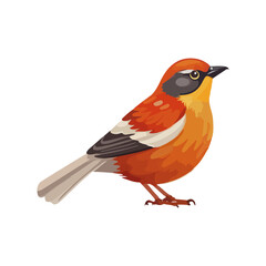 Obraz premium Colorfull bird sticker with vector design