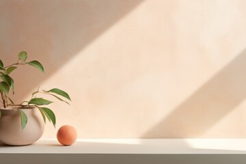 Peach minimalistic abstract empty stone wall mockup background for product presentation. Neutral industrial interior with light, plants
