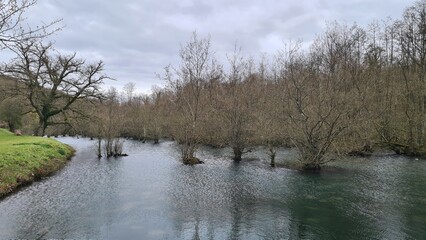 La mangrove des étangs de l'abbaye de Mortemer
