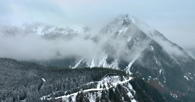 Thick white fog rises above the mountains. Snow-capped rocks and pine-trees in the National Park Mount Rainer, Washington State, the USA.