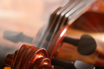 An intimate close-up of a violin, highlighting the strings and woodwork against a soft background