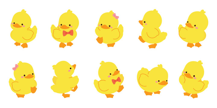 Cute Animal Duck characters set. Hand drawn farm animal cartoon design of yellow duck, duckling, chick in different pose. Adorable baby duck illustration for sticker, clipart, education.