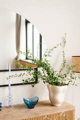 Potted plant in a modern white pot on a dresser and a mirror on a light wall in a cozy room