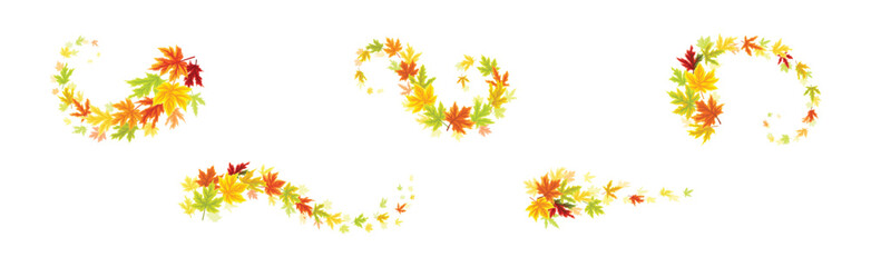 Autumn Leaf and Foliage Nature Curled Element Vector Set