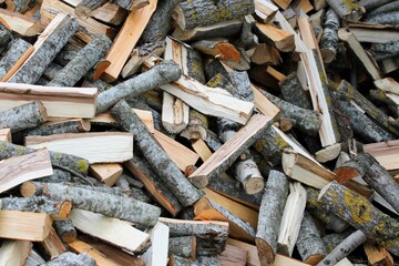 freshly chopped firewood pile ready for the next winter season