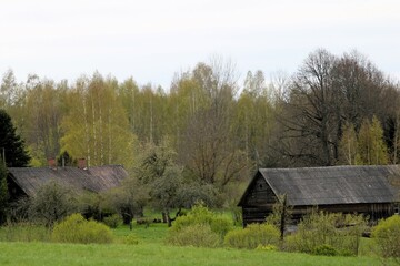 panoramic view of an ancient wooden farmhouse surrounded by trees in early spring