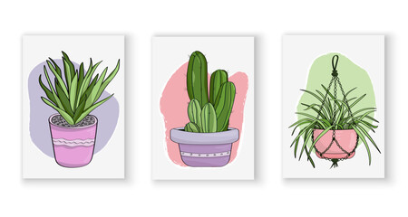 A collection of hand-drawn posters depicting domestic plants. Bright posters depicting succulent, cactus, palm trees in cartoon style. Vector illustrations for printing, posters, postcards, decoration