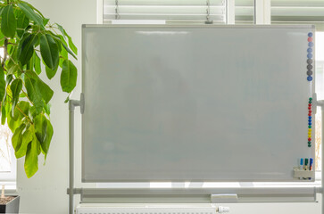 Close-up of a white board and a green plant. closed blinds
