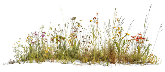 Patch of wildflowers and native grasses along a rural roadside, enhancing the natural landscape, isolated on transparent background