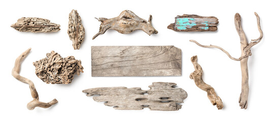 natural beach / sea / summer decoration or home decor, collection of driftwood isolated over a transparent background, washed out roots, twigs, boards / signs and small pieces with holes, top view 