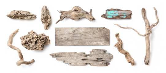 natural beach / sea / summer decoration or home decor, collection of driftwood isolated over a transparent background, washed out roots, twigs, boards / signs and small pieces with holes, top view 