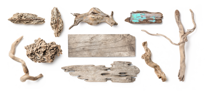 natural beach / sea / summer decoration or home decor, collection of driftwood isolated over a transparent background, washed out roots, twigs, boards / signs and small pieces with holes, top view 